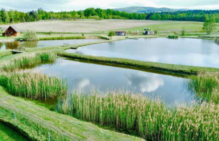 Chatka nad Stawami - Photo 36