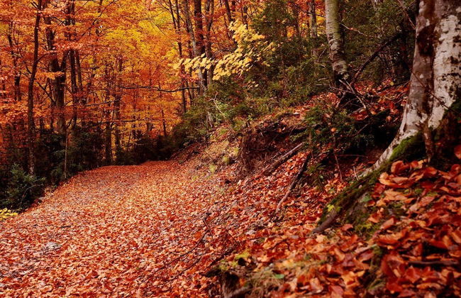LA Nana DEL MAR Flat on the old Port of Cudillero - Photo 68