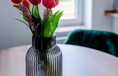 Ferienhaus direkt an der Wümme - Foto 31