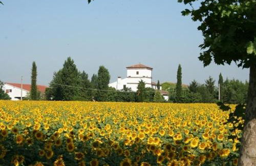 Agriturismo Corte Spino - Foto 33