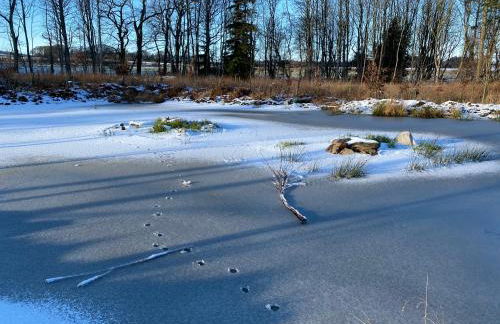 Serene Countryside Home with Manicured Gardens - Foto 39