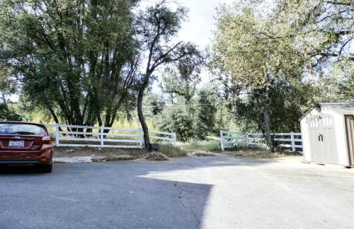 Charming Downstairs Unit - Foto 33