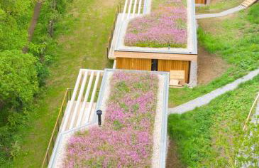 Otter Lodge - Photo 16