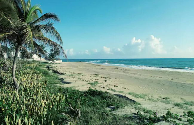 2 Room House Front Kite Beach Cabarete - Photo 29