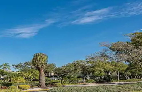 Chase Suite Hotel Rocky Point Tampa - Foto 34