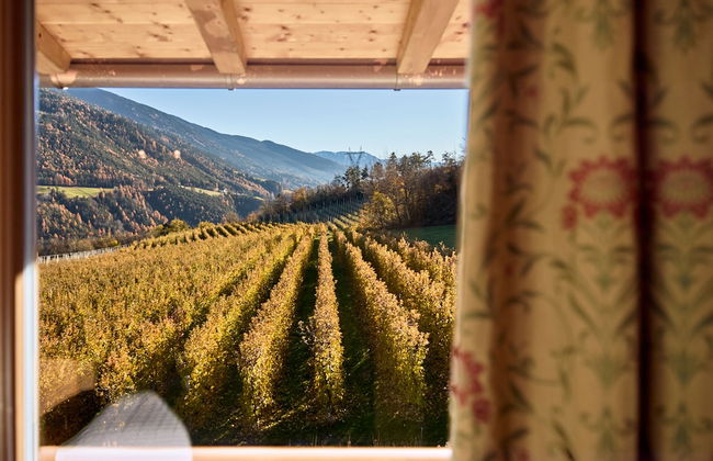 Residence Schiestlhof - Foto 25