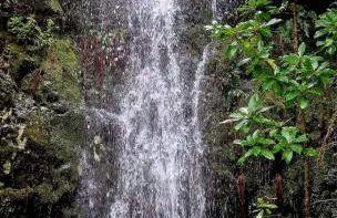 Ocean Breeze - Foto 41