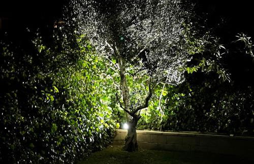 Chale a 25 minutos de Madrid cerca de Somosierra - Foto 35