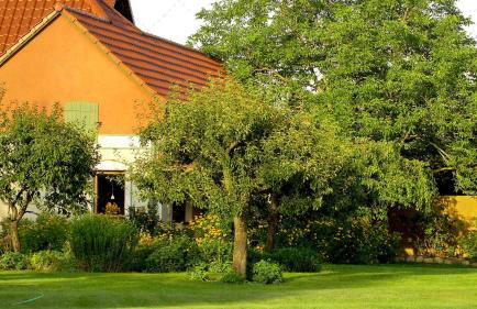 JANISCHs Fewo im Spreewald, Terrasse, großer Garten und Blick inklusive - Foto 43