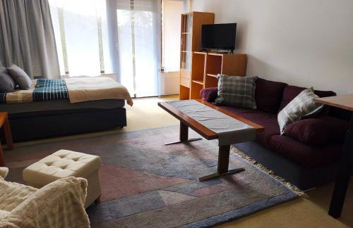 Sonniges Apartment am Kurpark mit direktem Blick auf die Ebernburg - Foto 9