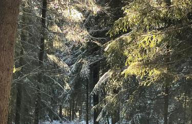 Ferienwohnung Am Brunnen und an der Fulda - Foto 32