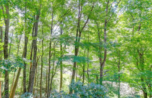 Luxe Mountain Escape with Hot Tub and Gym Near Boone! - Foto 40