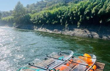 Solar Do Douro - Foto 27