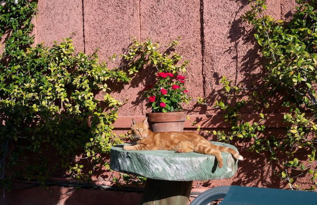 Villa Christina in Evia - Foto 26