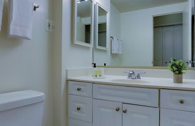 Spacious 2BR Apartment in Crystal City - Photo 33