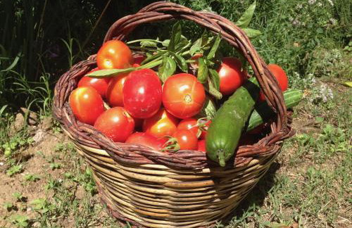 Casa Sant Angelo - Photo 61