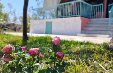 Dream in Chalkidiki 2 bedroom villa with garden - Foto 50