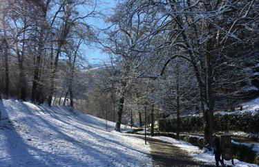 Charmant appartement sur cour, Le Cerisier - Foto 14