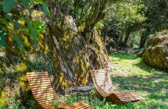 VIBE LUXURY CABINS - Foto 57