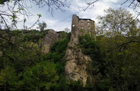 Le Nopal Bleu - Foto 37