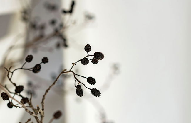 Cottage in Ovezande With Terrace - Foto 13