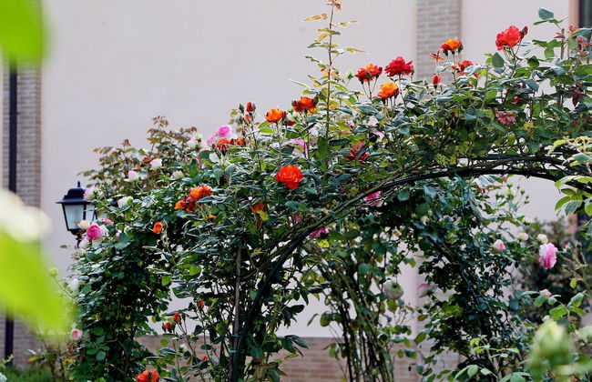 Agriturismo Argaland - Foto 71