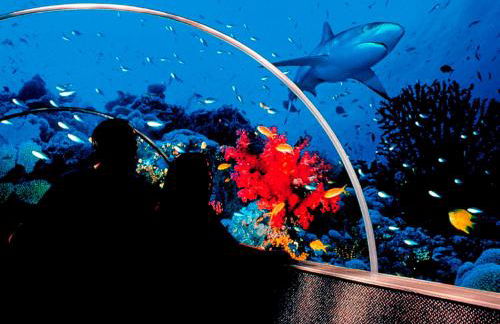 MOONGATE by BOURNECOAST - A Delightful Chalet Bungalow with a Garden and Parking - HB10672 - Foto 67