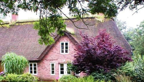 Marie Carla - Foto 3