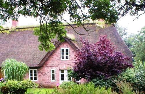 Marie Carla - Foto 3