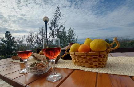 homonatura petrinum - Foto 25