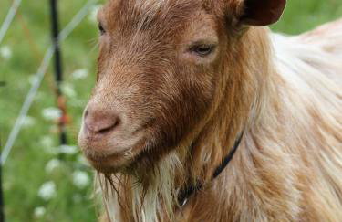 The Captain's Place - Isle of Skye - Foto 16