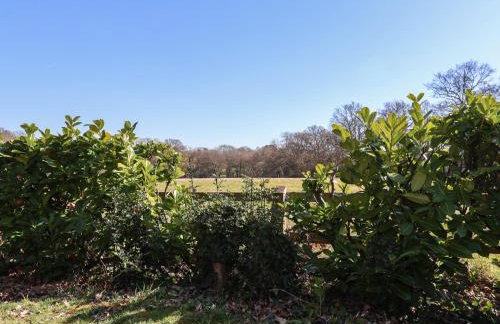 The Woodshed - Foto 19