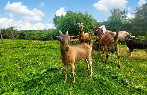 Awesome Home In Alette With Wifi - Foto 27