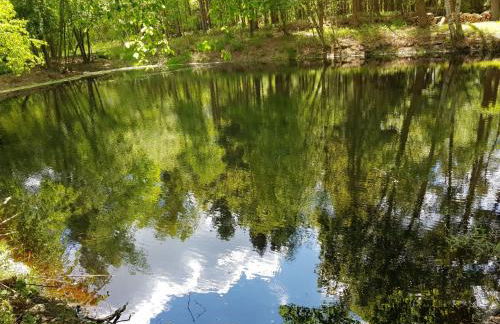 Holiday Home Luxuszeit zu Zweit by Interhome - Foto 38