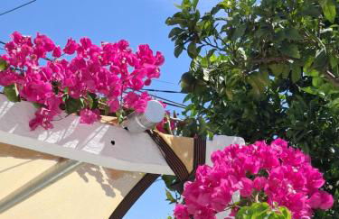 Casinha do Chico - Foto 58