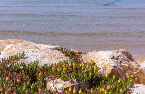 Villa Pasitea fronte mare - Foto 55