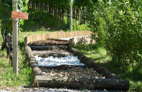 Gutshof Sinn - Foto 31