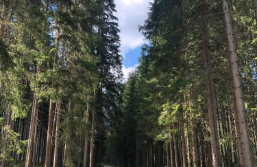 Sogno delle Dolomiti - Photo 70