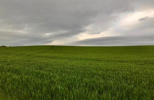 Leverets - Squirrel Lane Lodges Ludlow - Photo 36