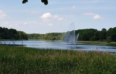 Ferienwohnung 2 in Nähe der Ostsee - Foto 17