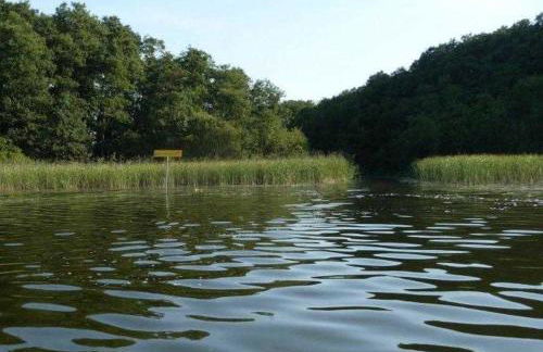 Ferienhaeuser Auszeit am Grossen Labussee - Photo 13