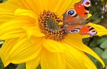 natuurleev - Photo 20