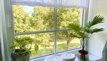 Schön gelegene und gemütliche Ferienwohnung am Weserufer - Foto 5, Garden, Garden view