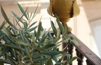 Palazzo Iato - Foto 7