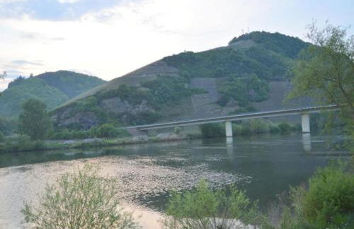 Ferienwohnung Moselblick - Foto 36