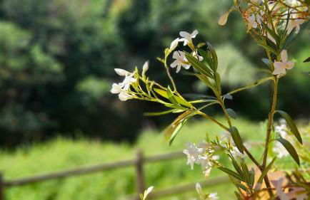 Apartamentos Virgen de Tironcillo - Foto 49