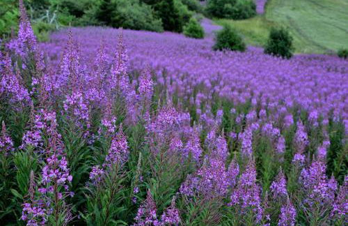 Ferienhaus Rhöner Wohnen - Foto 24