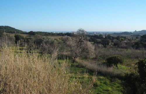 Mas CostaBravaSi - Foto 19