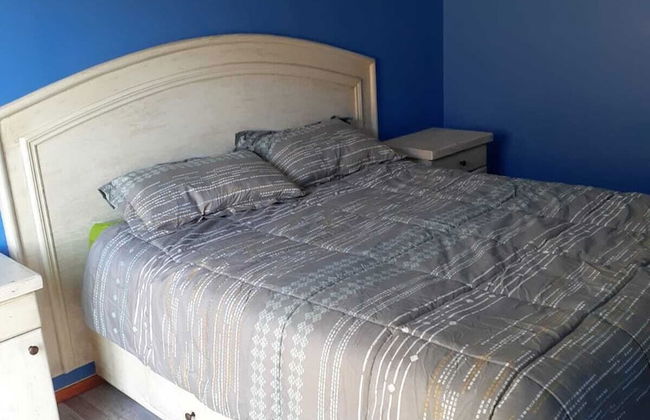 Cabañas en la naturaleza del Río Elqui - Foto 9