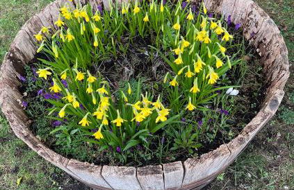 The Cruck Barn, cosy rural escape near The Peak District - Foto 24